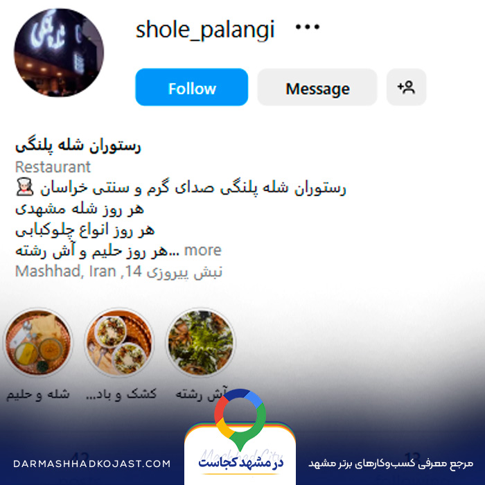 اینستاگرام شله پلنگی 
