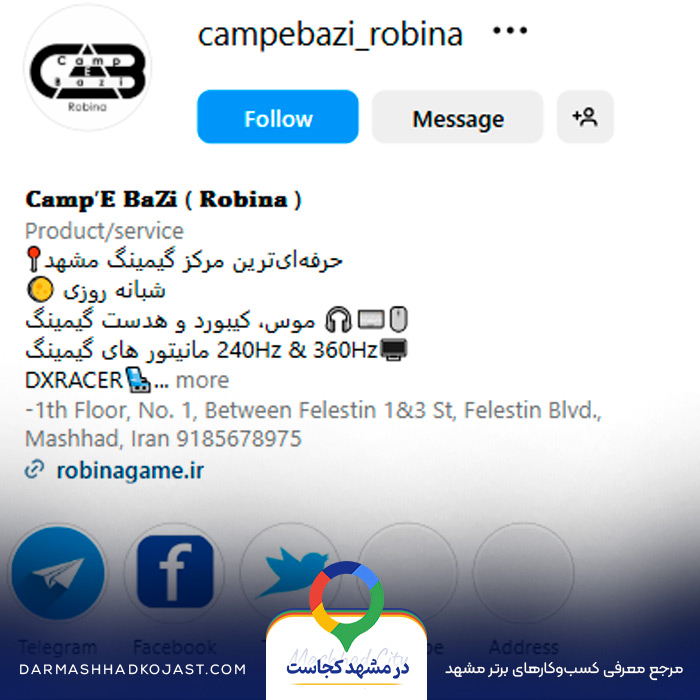 اینستاگرام گیم نت روبینا 