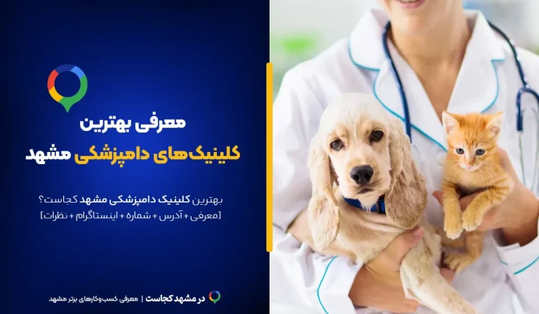 بهترین کلینیک دامپزشکی مشهد